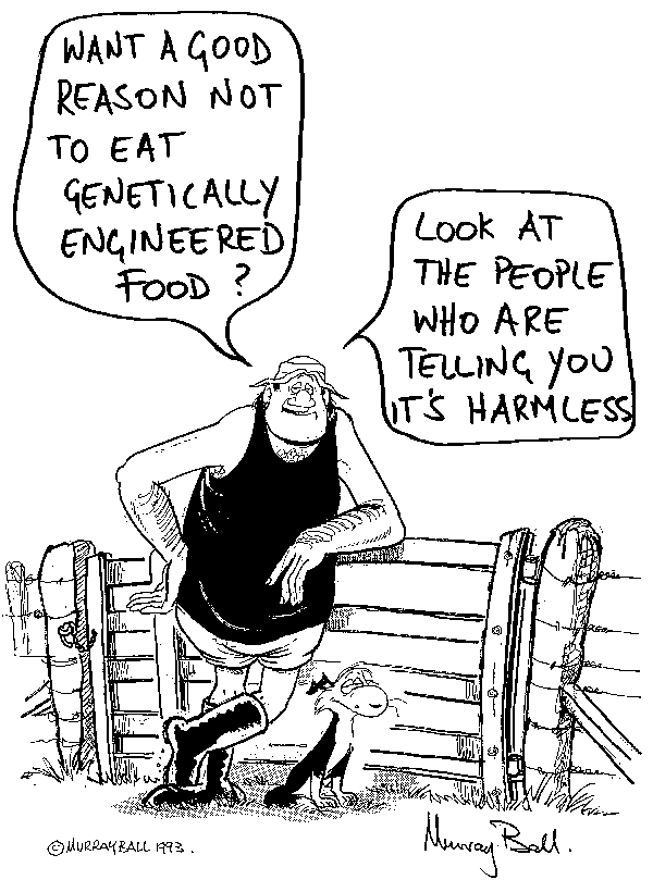Murray Ball